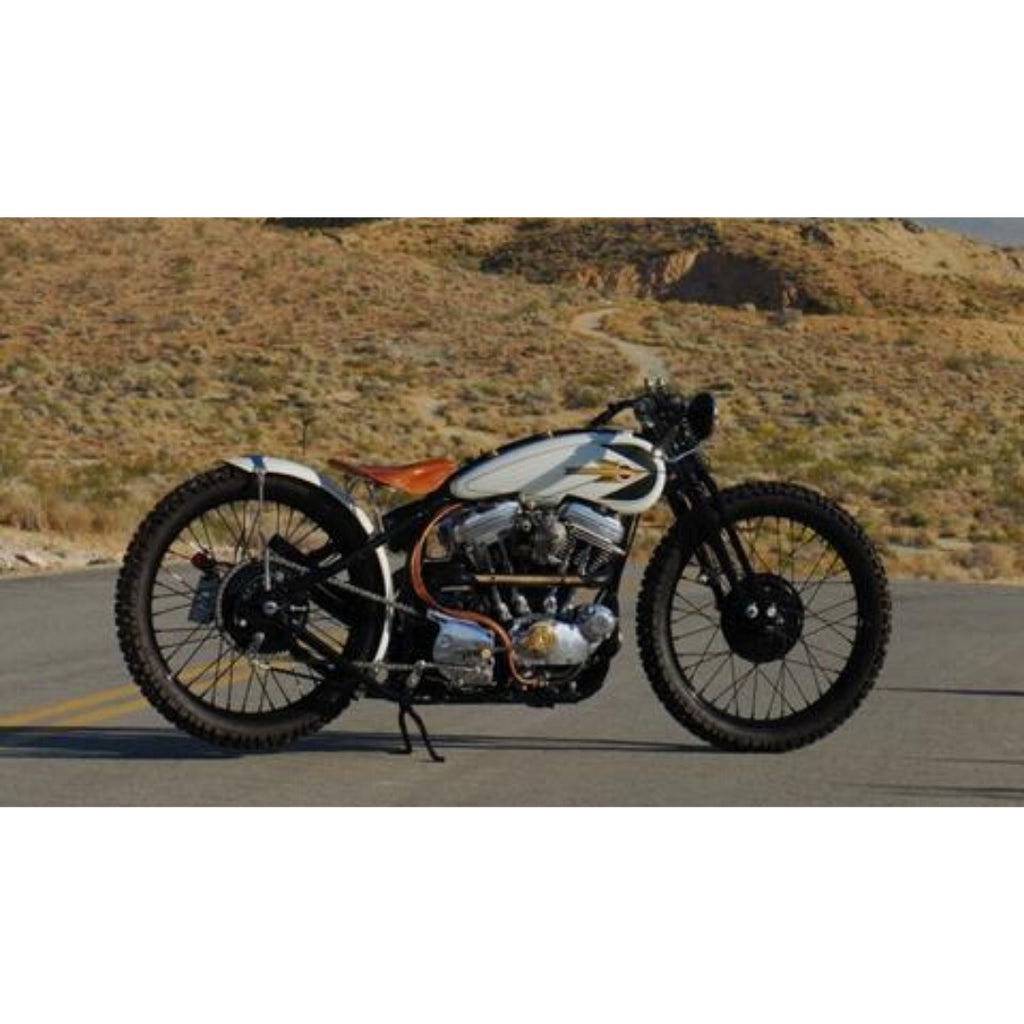 Best 5 Custom Harley Davidson Sportsters