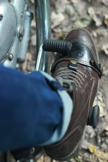 Classic Shoe Protector